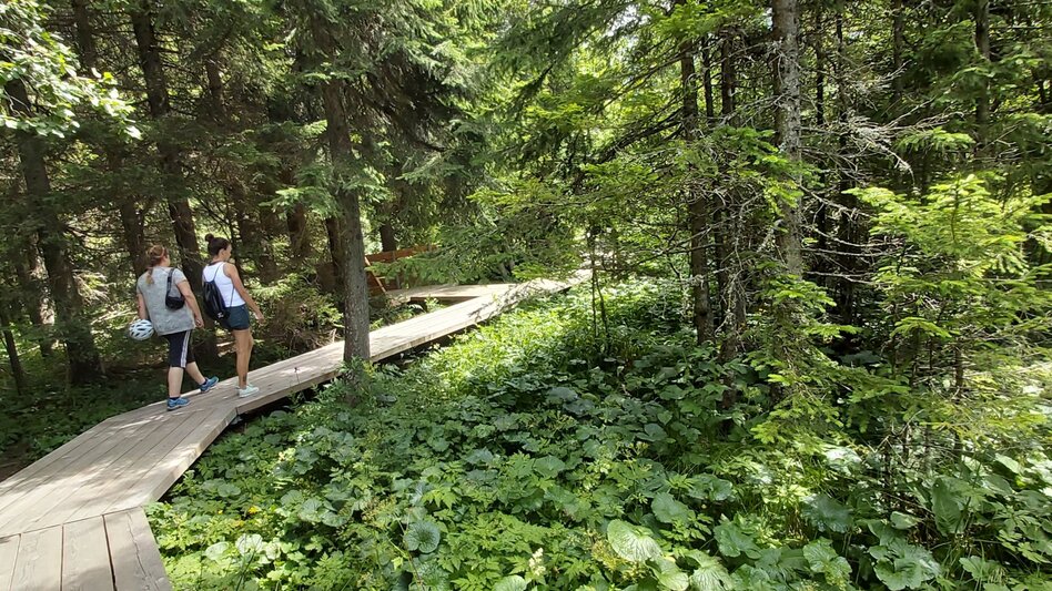 Wanderung Moorlehrpfad, Teichalm - Touren-Impression #2.4 | © Oststeiermark Tourismus