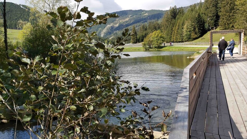 Wanderung Moorlehrpfad, Teichalm - Touren-Impression #2.6 | © Oststeiermark Tourismus