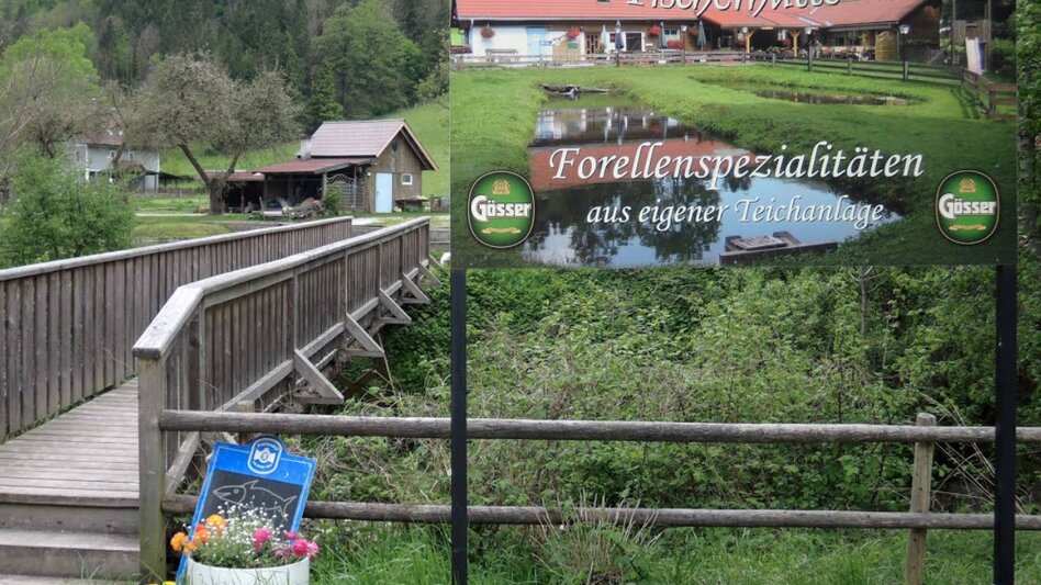 Nordic Walking Kainacher Bergmarathon: Nordic Strecke 18,5 km - Touren-Impression #2.3 | © Region Graz