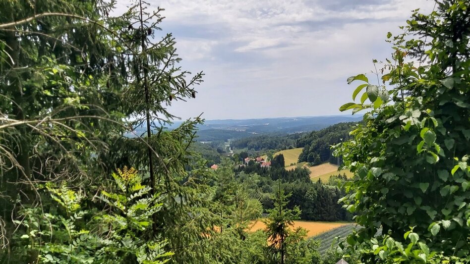 Wanderung Grubbründlweg, Anger bei Weiz - Touren-Impression #2.7 | © Oststeiermark Tourismus