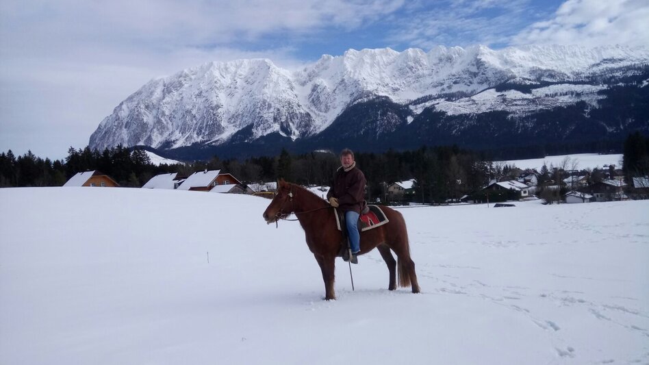 Horse Riding Riding trail Bad Aussee - Radling - Bad Mitterndorf - Touren-Impression #2.1 | © TVB Ausseerland - Salzkammergut/K. Ceipek