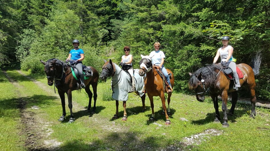 Horse Riding Riding trail Bad Aussee - Radling - Bad Mitterndorf - Touren-Impression #2.3 | © TVB Ausseerland - Salzkammergut/K. Ceipek