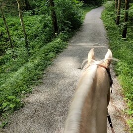 reiten-im-ausseerland-foto-michaela-schilcher_1.jpg | © Tourismusverband Ausseerland Salzkammergut