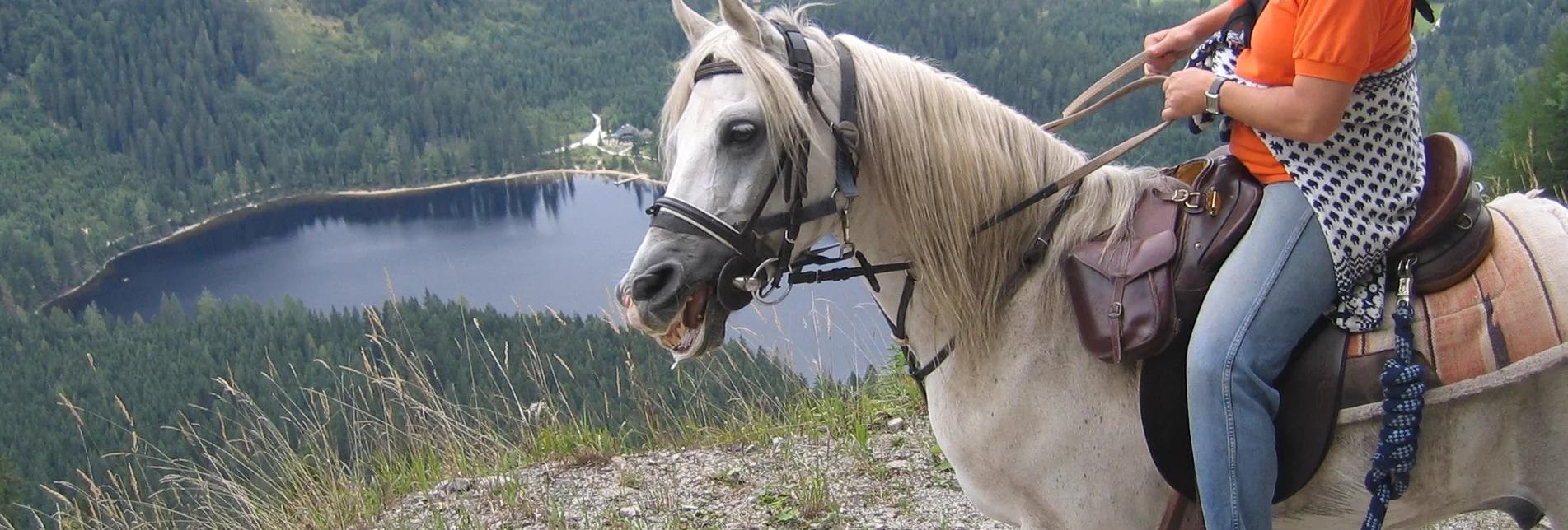 Horse Riding Kainisch bridle path - Sillstraße - Lake Ödensee - Touren-Impression #1 | © Ausseerland