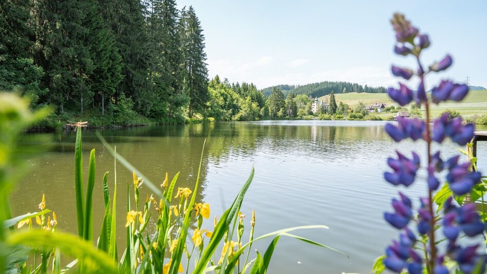 Wanderung 4 Seen Rundwanderweg - Touren-Impression #2.3 | © Tourismusverband Murau