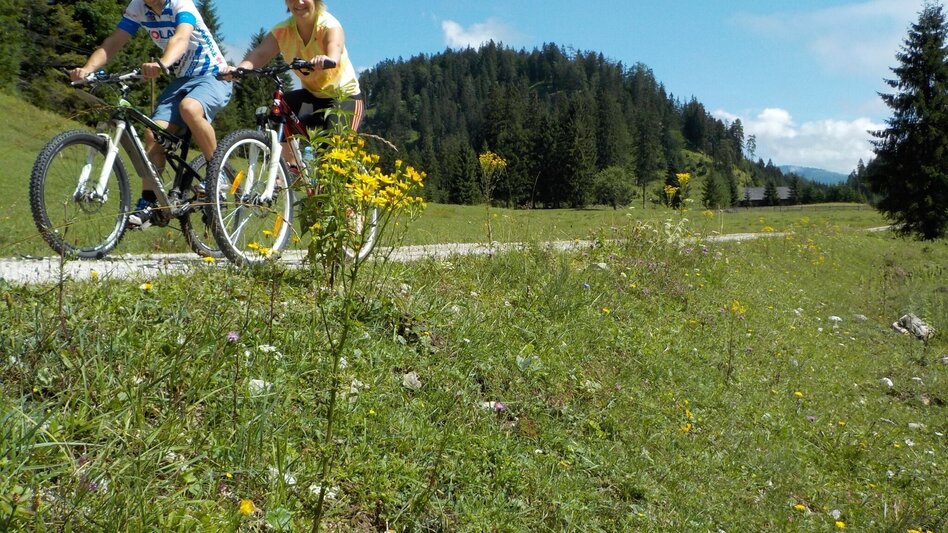 Mountainbike Mountainbike Wildalpen / Genießer Strecke Krumpen-Abbrenn - Touren-Impression #2.11 | © Tourismusverband Wildalpen