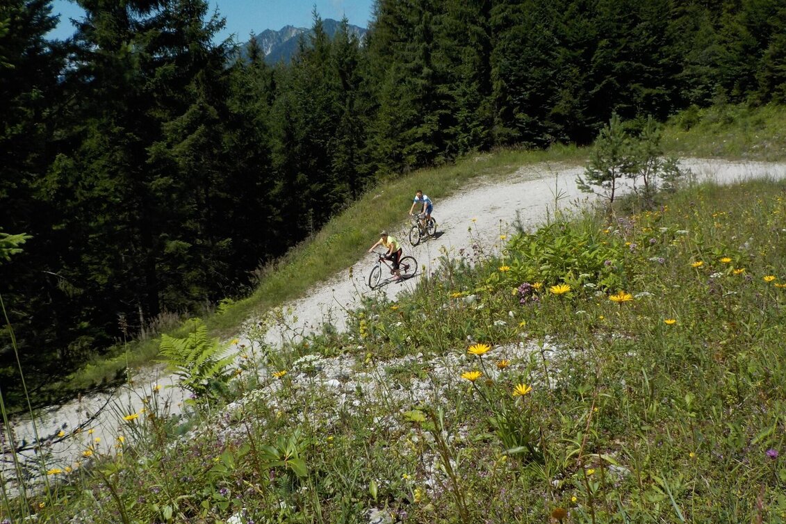 Mountainbike Mountainbike Wildalpen / Genießer Strecke Krumpen-Abbrenn - Touren-Impression #1 | © Tourismusverband Wildalpen