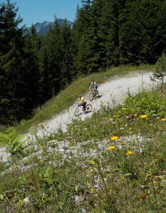 Genießer Mountainbikestrecke Krumpen - Abbrenn Wildalpen | Christian Scheucher | © Tourismusverband Wildalpen