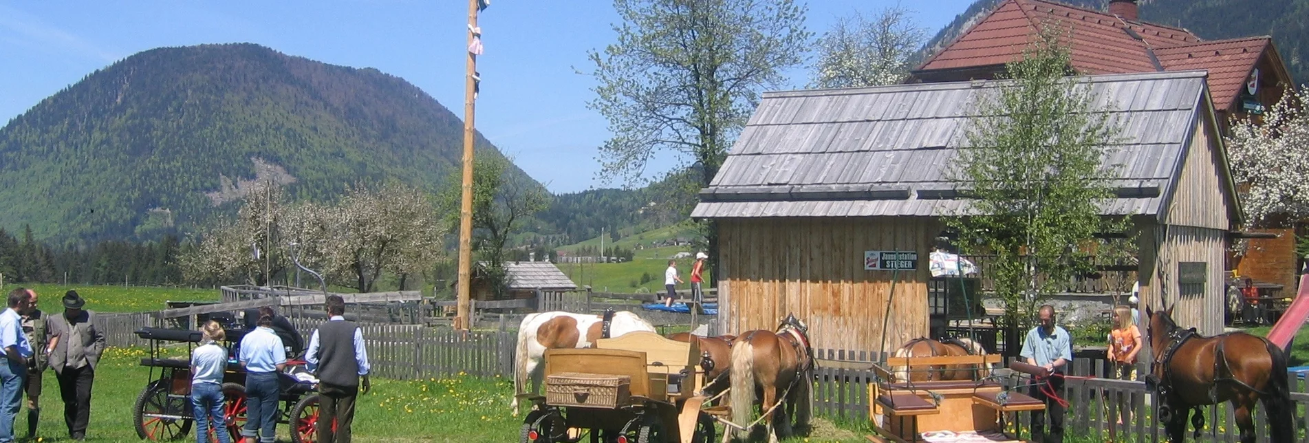 Horse Riding Knoppenmoos bridle path - Touren-Impression #1 | © Reitgemeinschaft Ausseerland