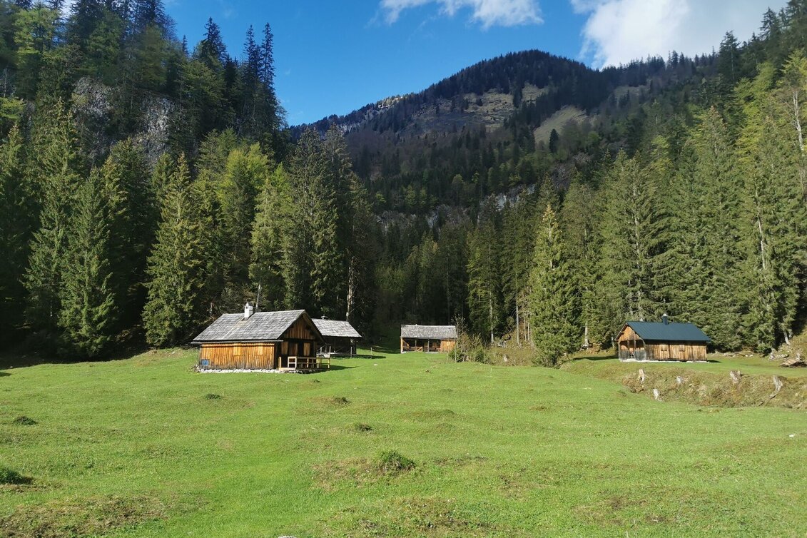 Hiking Route Hike to the Zimitzalm - Touren-Impression #1 | © Ausseerland
