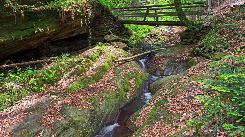 Wanderung Hinterbrühlweg, Stubenberg - Touren-Impression #2.1 | © Oststeiermark Tourismus