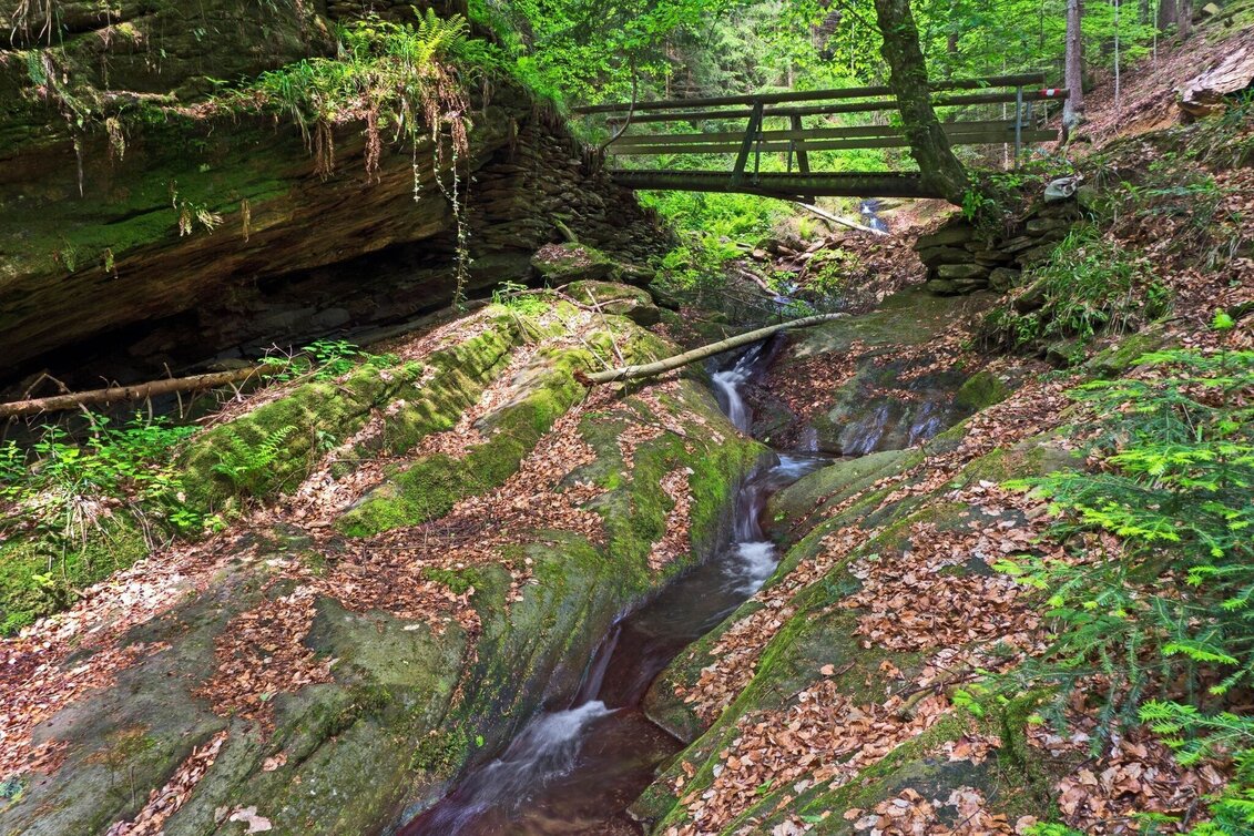 Wanderung Hinterbrühlweg, Stubenberg - Touren-Impression #1 | © Oststeiermark Tourismus