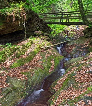 Hinterbrühlweg, Stubenberg | steiermark.com