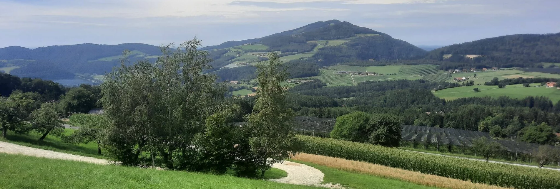 Wanderung Buchkogel- Höhenweg, Stubenberg - Touren-Impression #1 | © Oststeiermark Tourismus