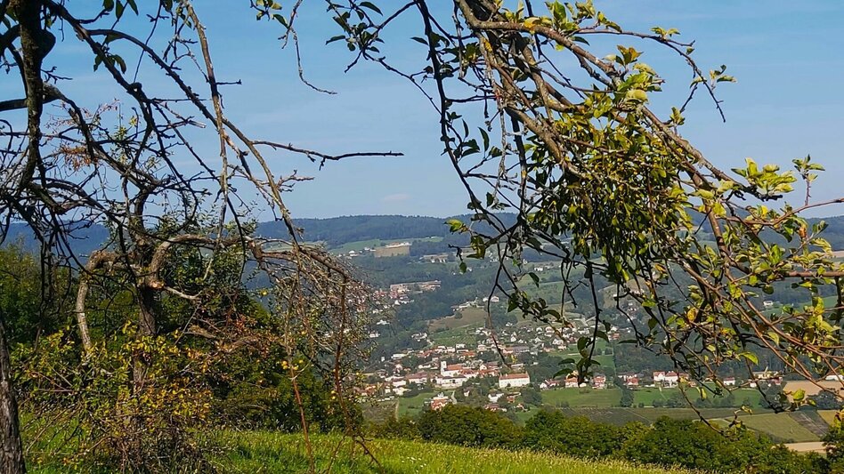 Hiking Route Culm Way - Touren-Impression #2.6 | © Oststeiermark Tourismus