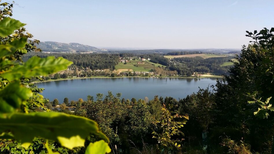 Hiking Route Culm Way - Touren-Impression #2.1 | © Oststeiermark Tourismus