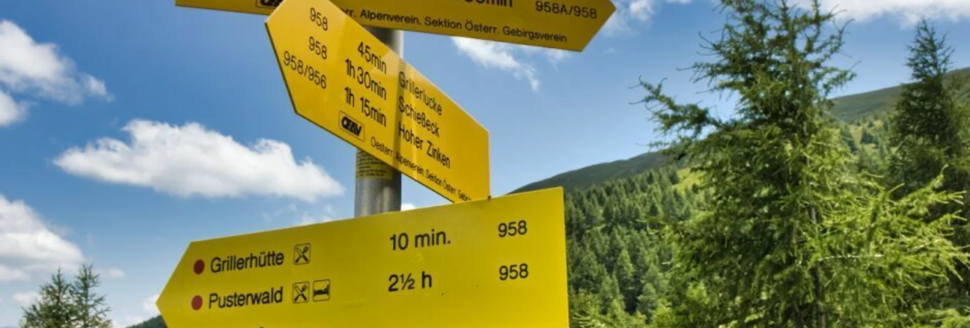 Hiking route Schießeck from Pusterwald - Touren-Impression #1 | © Weges OG