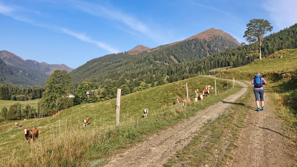 Wanderung Hochschwung vom Bretsteingraben - Touren-Impression #2.3 | © Weges OG
