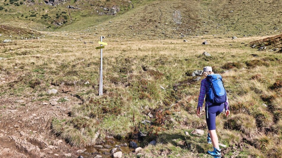Wanderung Hochschwung vom Bretsteingraben - Touren-Impression #2.13 | © Weges OG