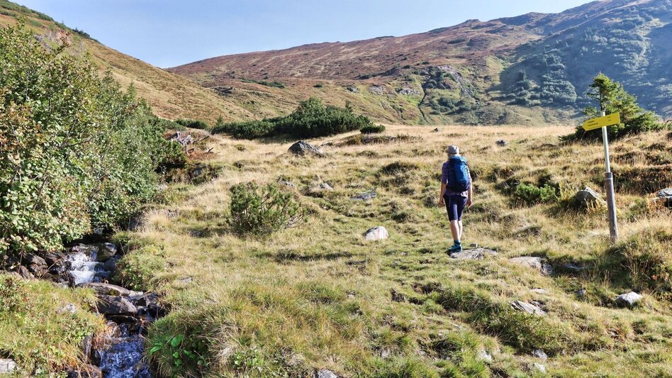 Wanderung Hochschwung vom Bretsteingraben - Touren-Impression #2.14 | © Weges OG