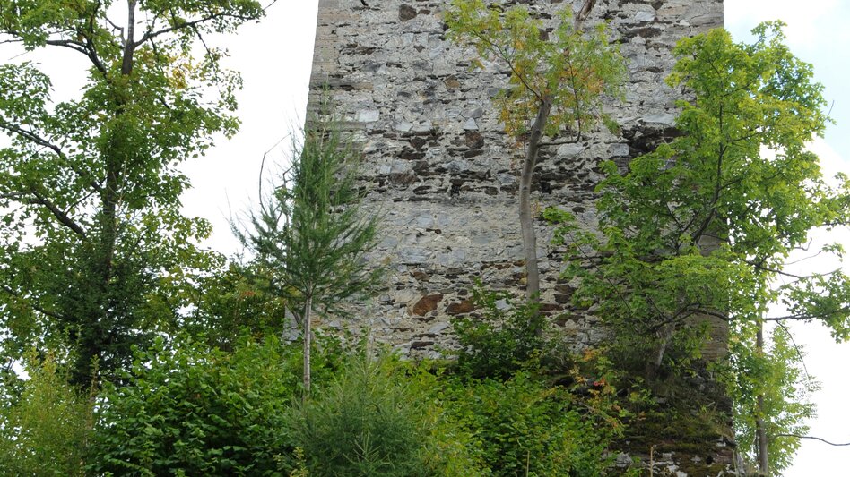 Hiking Route Offenburg ruin - Touren-Impression #2.2 | © Gemeinde Pöls-Oberkurzheim