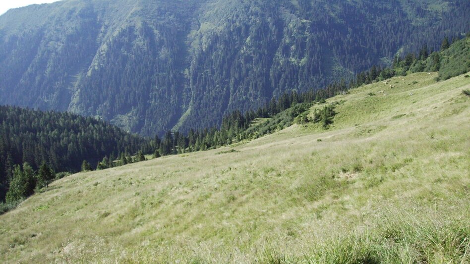 Wanderung Seitnerzinken - Touren-Impression #2.1 | © Erlebnisregion Murtal