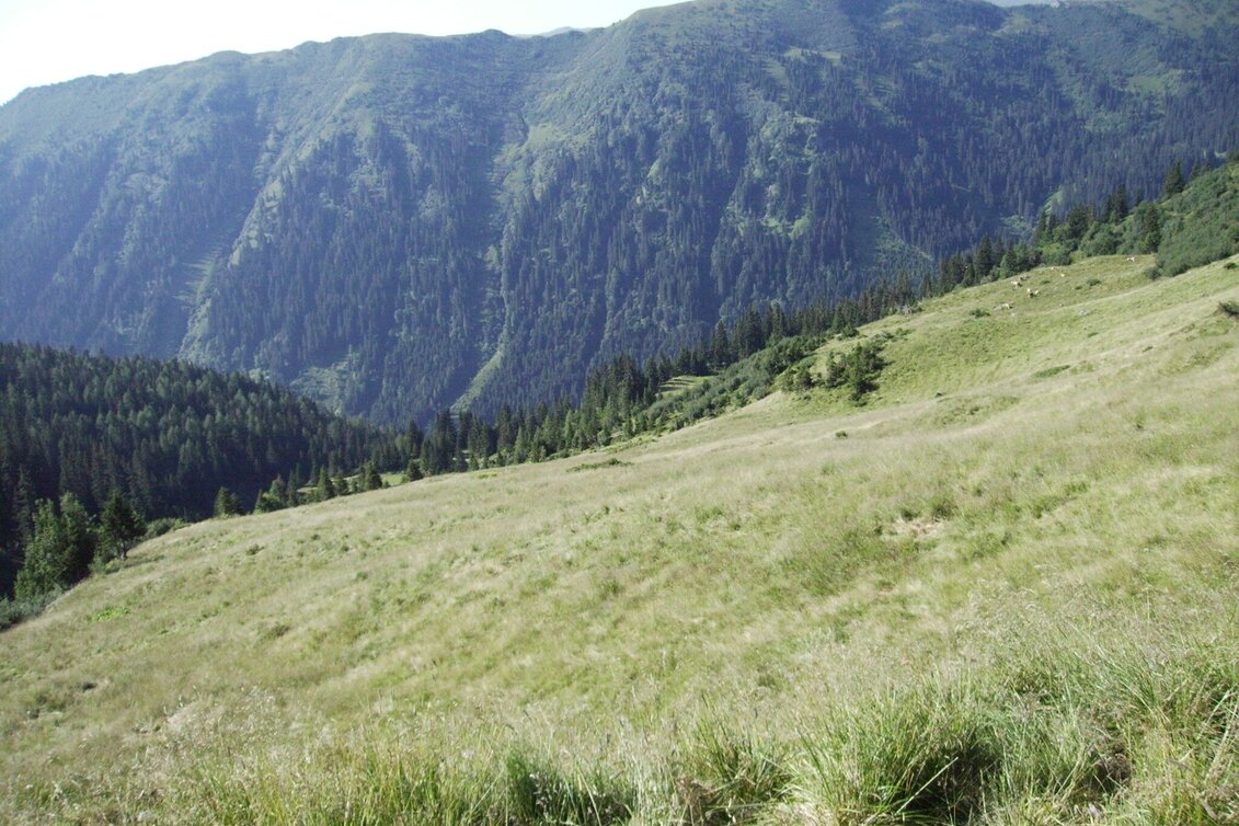 Wanderung Seitnerzinken - Touren-Impression #1 | © Erlebnisregion Murtal