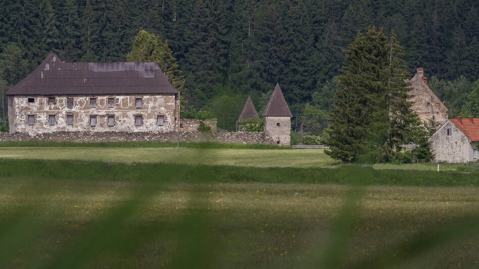 Themen- und Lehrpfad Römerweg im Pölstal - Touren-Impression #2.3 | © Erlebnisregion Murtal
