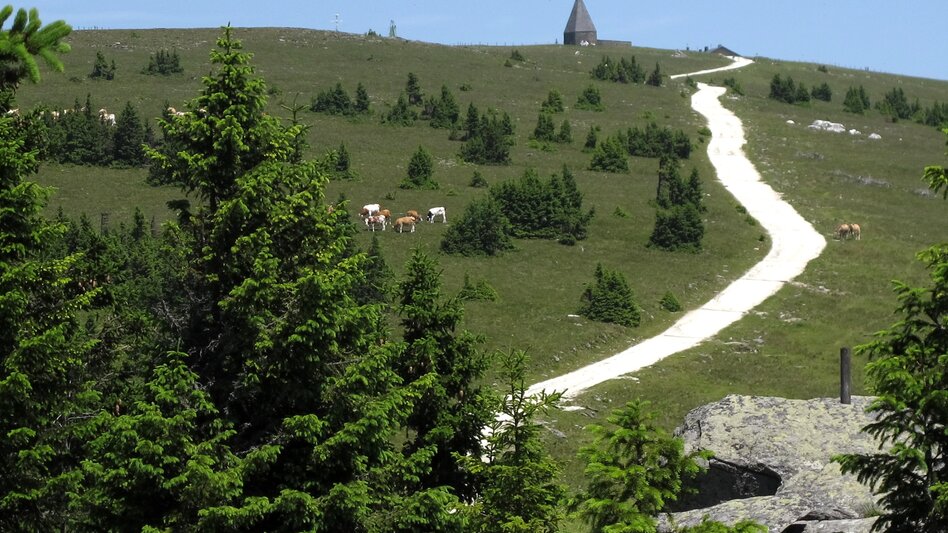 Radfahren Gipfeltour: Von Waldbach auf den Hochwechsel, Waldbach-Mönichwald - Touren-Impression #2.2 | © Oststeiermark Tourismus