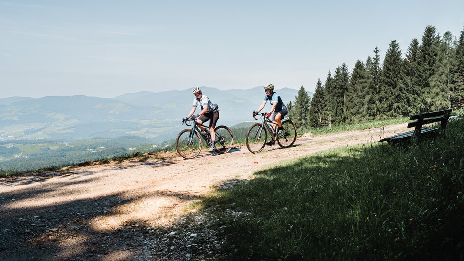 Radfahren Gipfeltour: Von Waldbach auf den Hochwechsel, Waldbach-Mönichwald - Touren-Impression #2.8 | © Christoph Lukas