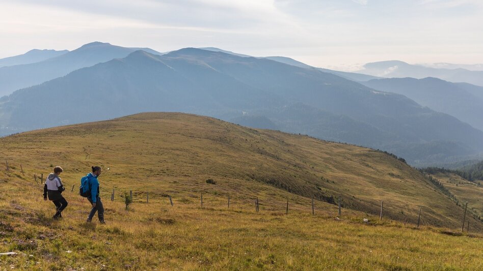 Hiking Route Rinsennock - Touren-Impression #2.2 | © TMG Turracher Höhe Marketing GmbH