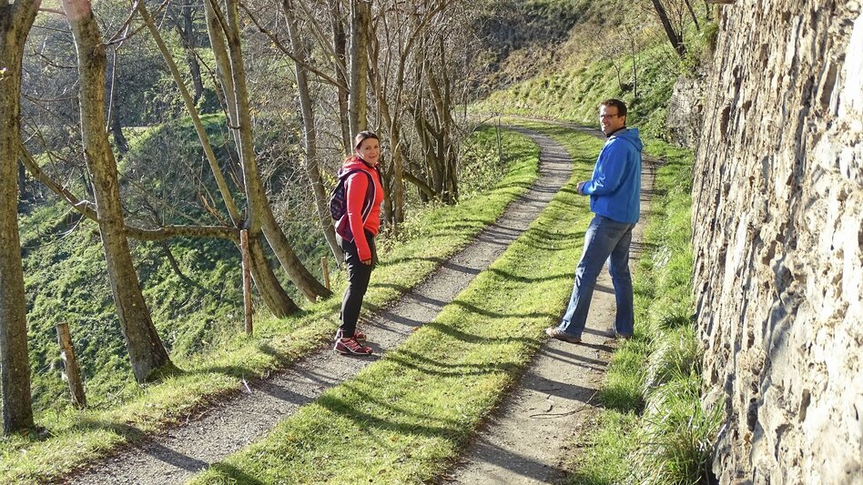 Hiking Route Sillweger Aussichtswarte - Touren-Impression #2.4 | © Weges OG