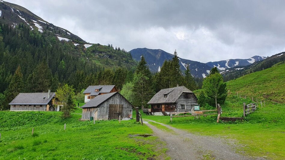 Wanderung Kreuzkogel über die Schwabergeralm - Touren-Impression #2.2 | © Martin Muhrer / bergfexmartin.at