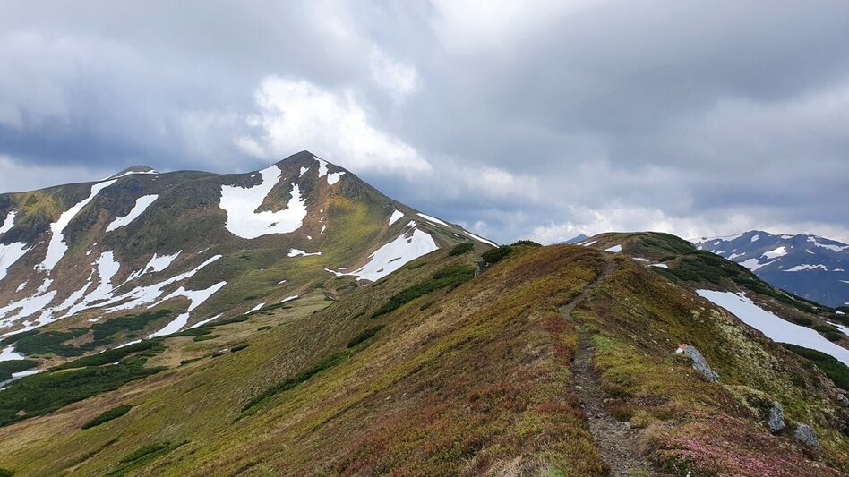 Wanderung Kreuzkogel über die Schwabergeralm - Touren-Impression #2.8 | © Martin Muhrer / bergfexmartin.at