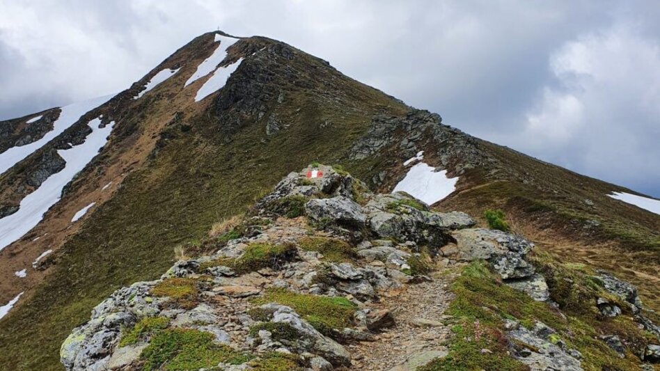 Wanderung Kreuzkogel über die Schwabergeralm - Touren-Impression #2.9 | © Martin Muhrer / bergfexmartin.at