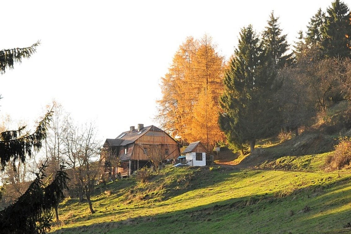 Themed Nature Trail On the Hödlmoser trail - Touren-Impression #1 | © Erlebnisregion Murtal