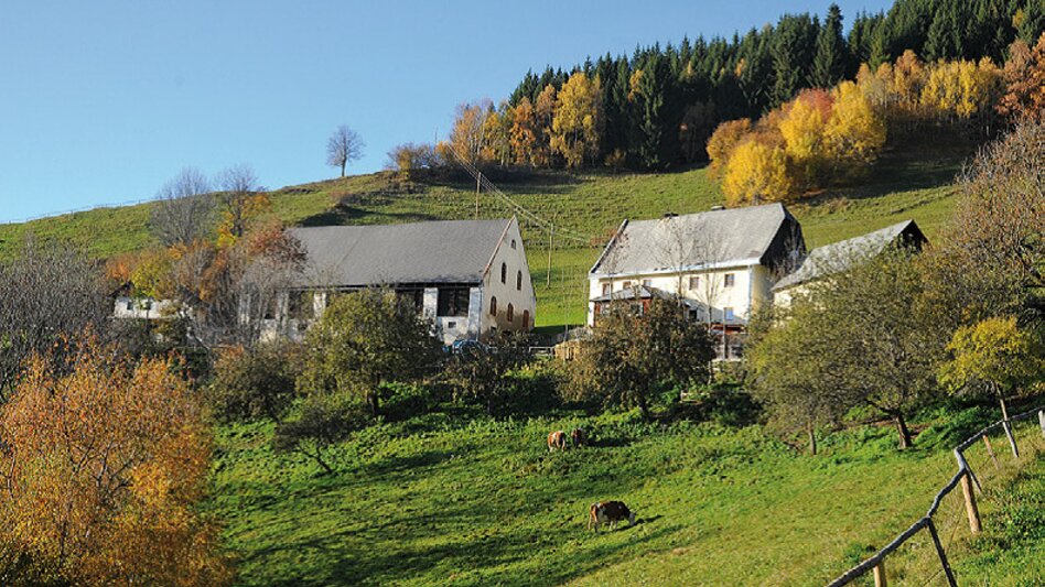 Themed Nature Trail On the Hödlmoser trail - Touren-Impression #2.2 | © Erlebnisregion Murtal