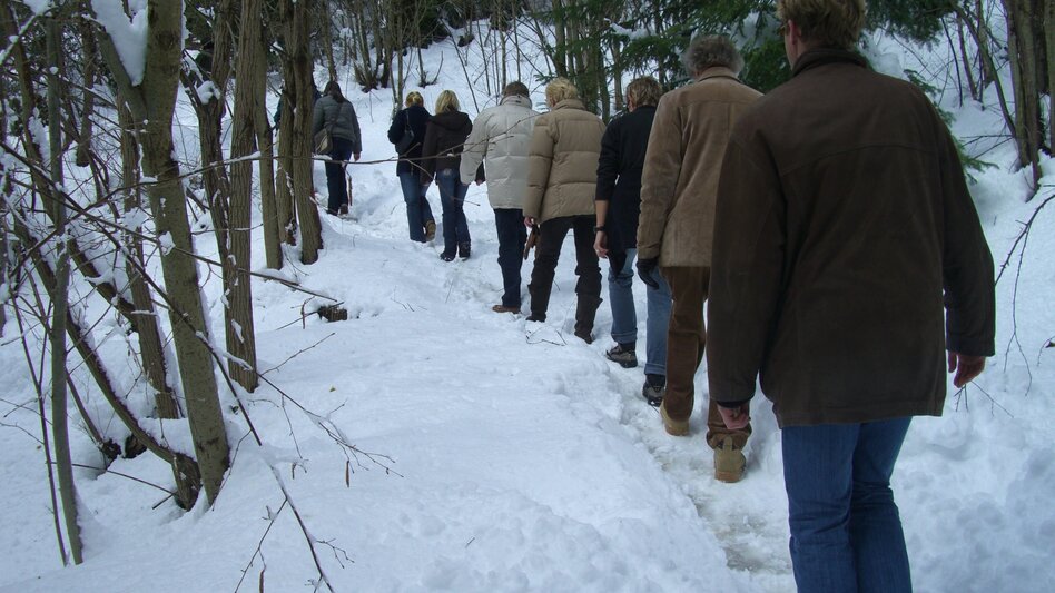 Themed Nature Trail On the Hödlmoser trail - Touren-Impression #2.10 | © Erlebnisregion Murtal