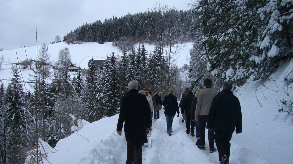 Themed Nature Trail On the Hödlmoser trail - Touren-Impression #2.14 | © Erlebnisregion Murtal