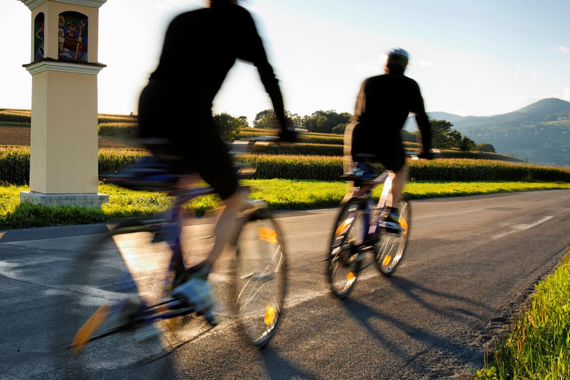 Cycling VeloVital Ecotour, Hartberg - Touren-Impression #1 | © Oststeiermark Tourismus