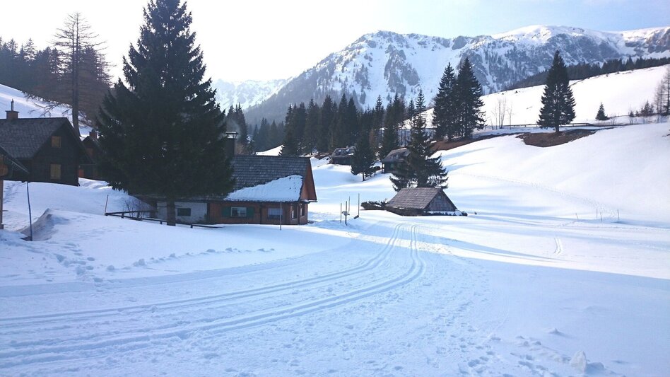 Ski-Nordic Classic Seebergalm-Loipe - Touren-Impression #2.1 | © TV Hochsteiermark