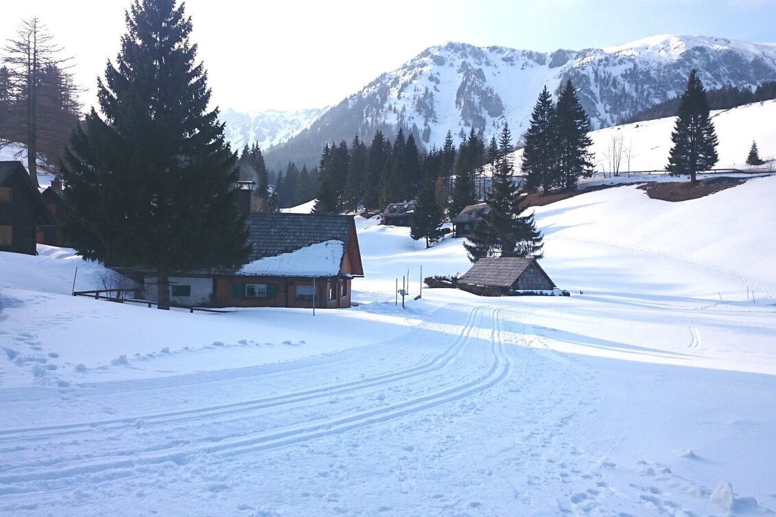 Ski-Nordic Classic Seebergalm-Loipe - Touren-Impression #1 | © TV Hochsteiermark