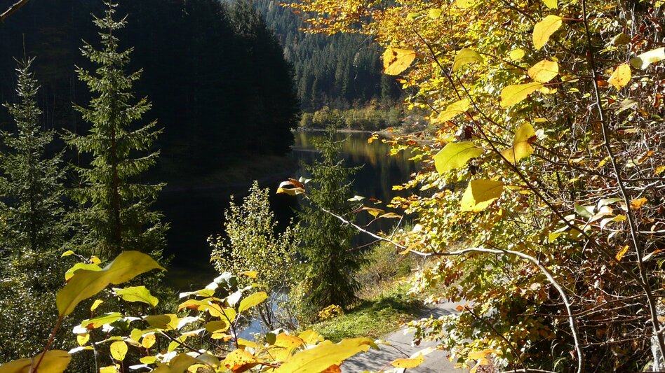 Horse Riding Riding trail Viehbergalm - Touren-Impression #2.4 | © Ausseerland