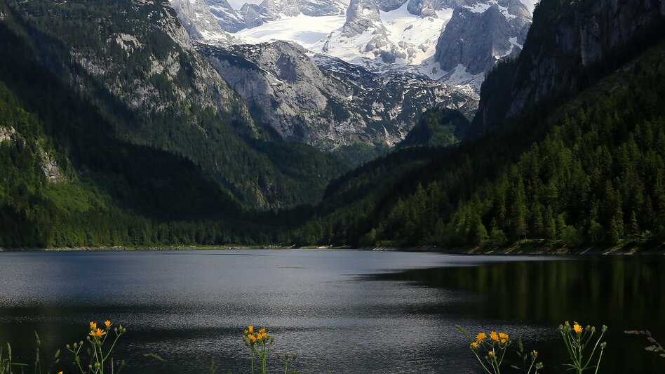 Long-Distance Hiking Trail Dachstein Circular Hiking Trail - Touren-Impression #2.4 | © TVB Schladming Dachstein