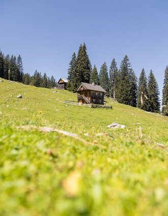 Steinitzenalm am Dachstein Rundwanderweg | Michael Kuschei | © Erlebnisregion Schladming-Dachstein
