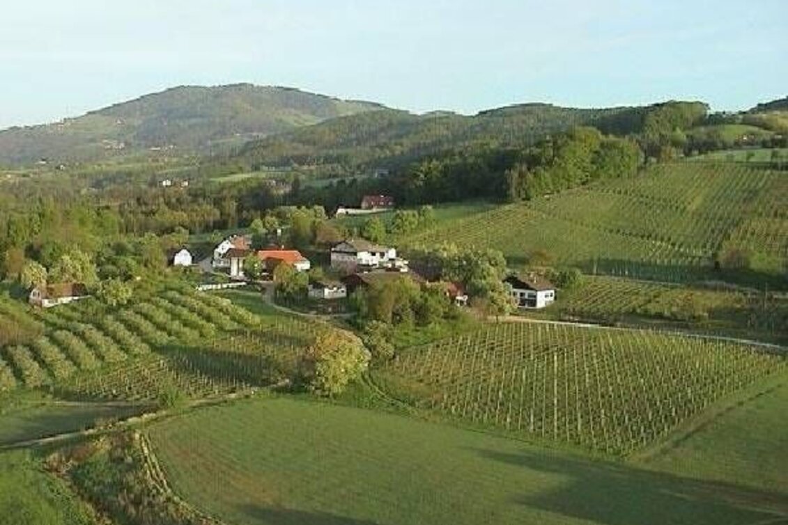 Wanderung Hoferbergrunde - Touren-Impression #1 | © Oststeiermark Tourismus