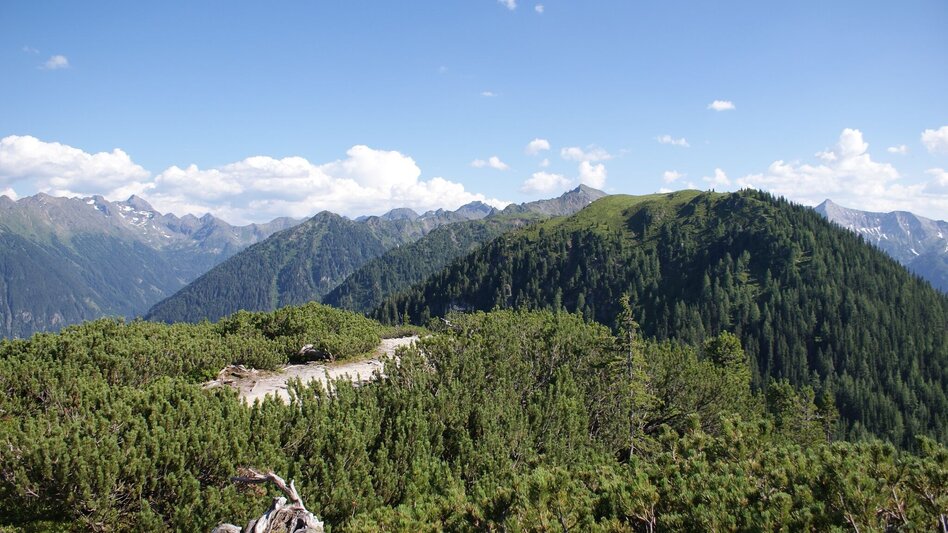 Wanderung Hochwurzen - Rossfeld - Guschen - Touren-Impression #2.3 | © Gerhard Pilz