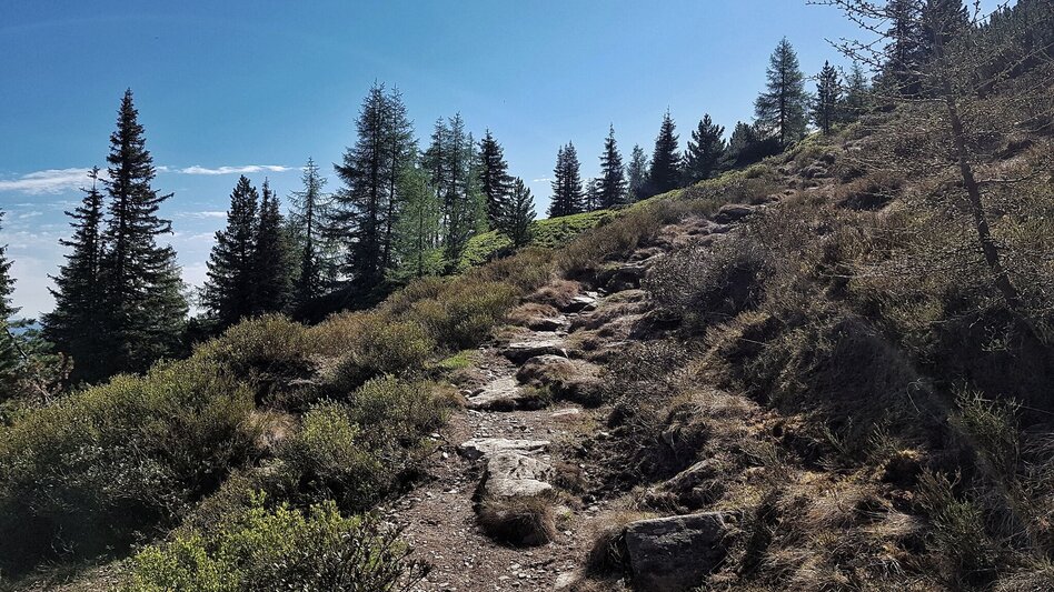 Wanderung Hochwurzen - Rossfeld - Guschen - Touren-Impression #2.5 | © Gerhard Pilz