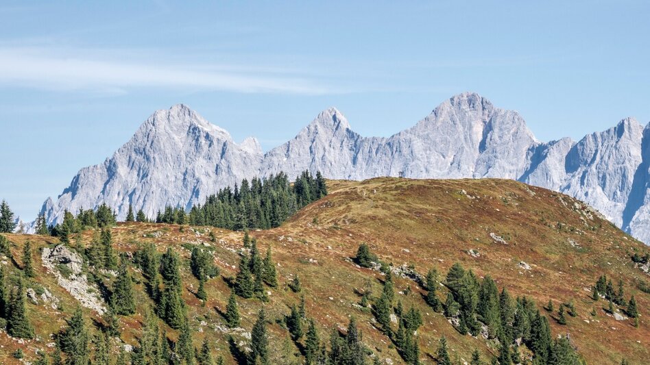 Wanderung Hochwurzen - Rossfeld - Guschen - Touren-Impression #2.8 | © Gerhard Pilz