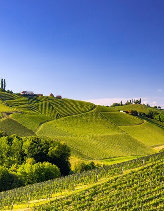 Harry Schiffer | © Steiermark Tourismus/Harry Schiffer